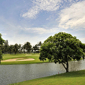 Thai Country Club, Bangkok Thailand, Golf, Golf Destination review, Golf holidays, golf tours